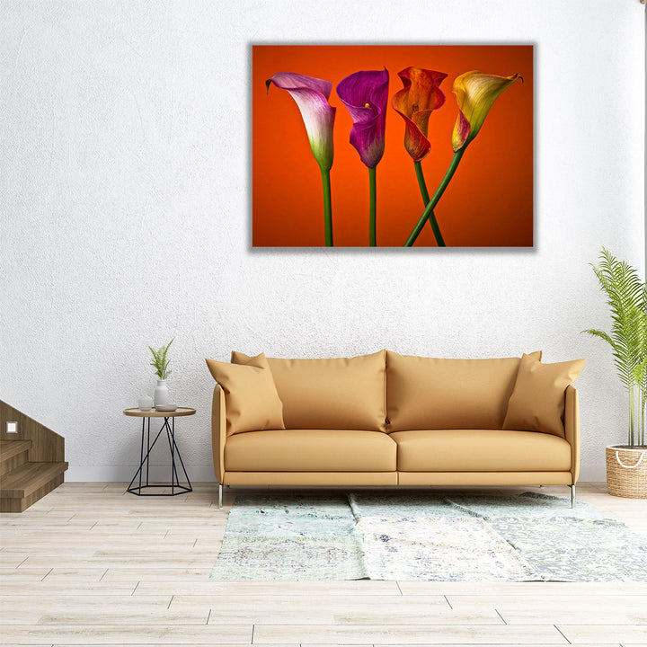 Four Calla Lilies 4 - Canvas Print Wall Art