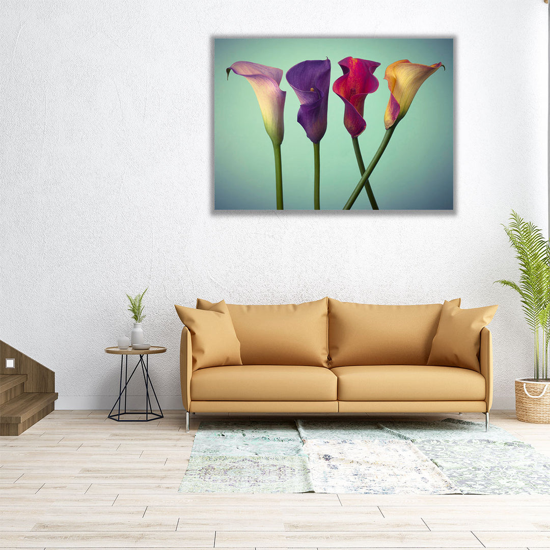 Four Calla Lilies 5 - Canvas Print Wall Art
