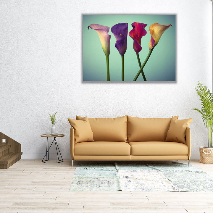 Four Calla Lilies 5 - Canvas Print Wall Art