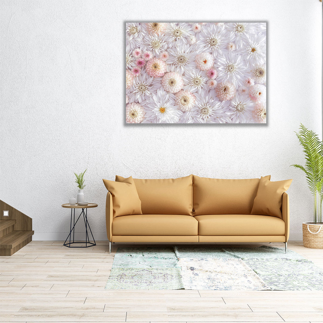 Full Frame Of Dahlia Flowers - Canvas Print Wall Art