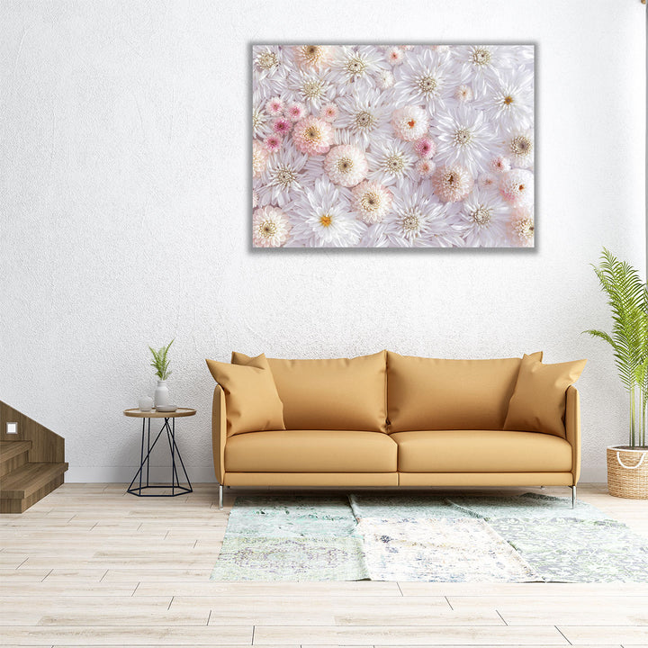 Full Frame Of Dahlia Flowers - Canvas Print Wall Art