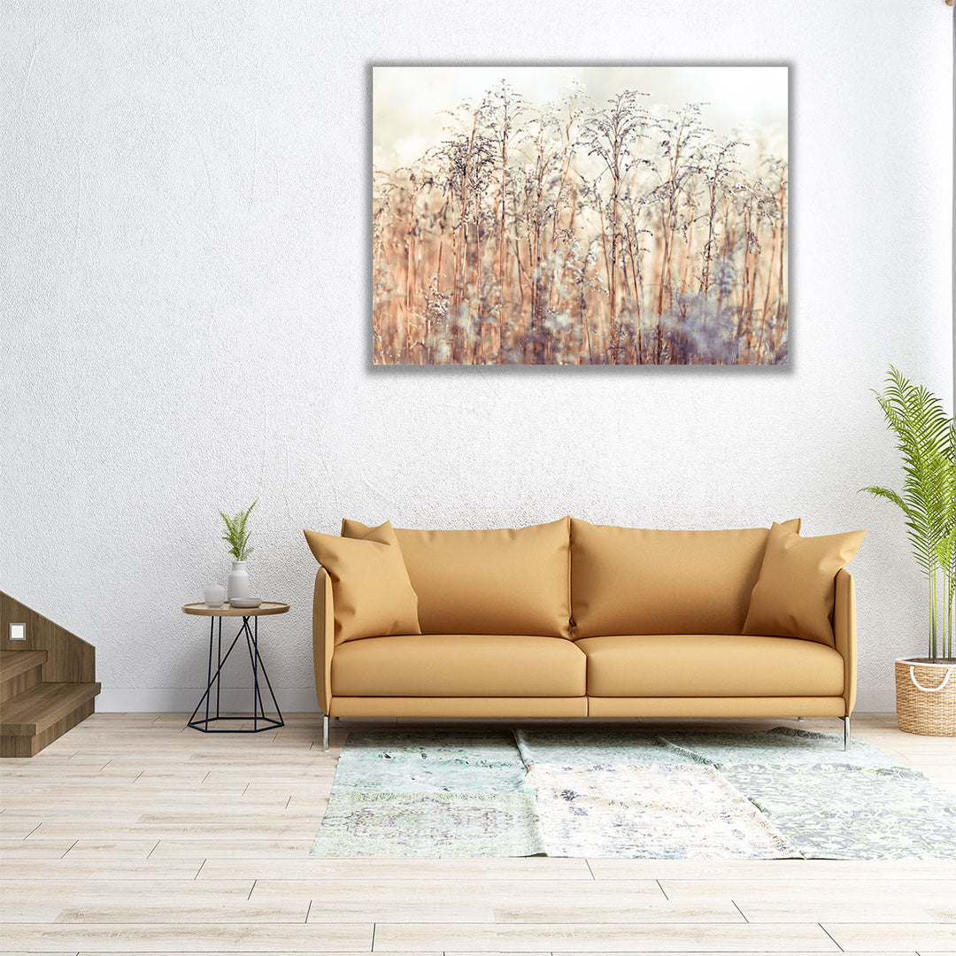 Grass Reeds - Canvas Print Wall Art