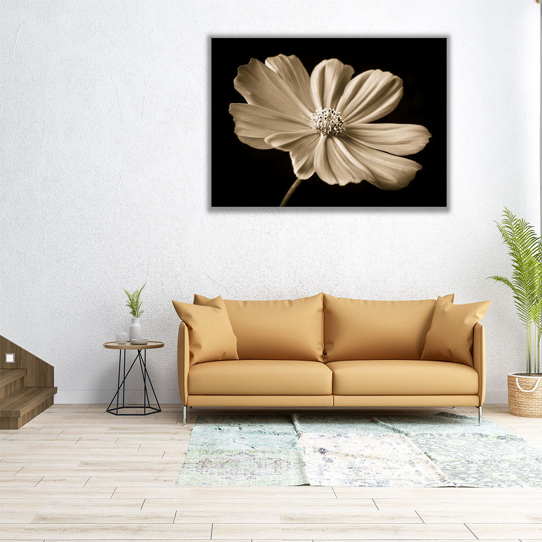 Cosmos Flower - Canvas Print Wall Art