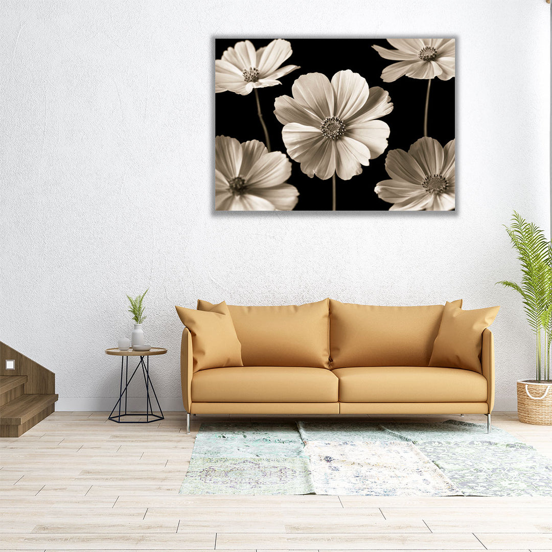 Cosmos Flowers - Canvas Print Wall Art