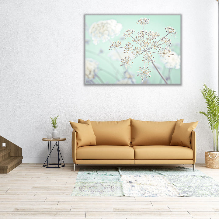 Cow Parsley Flowers 2 - Canvas Print Wall Art