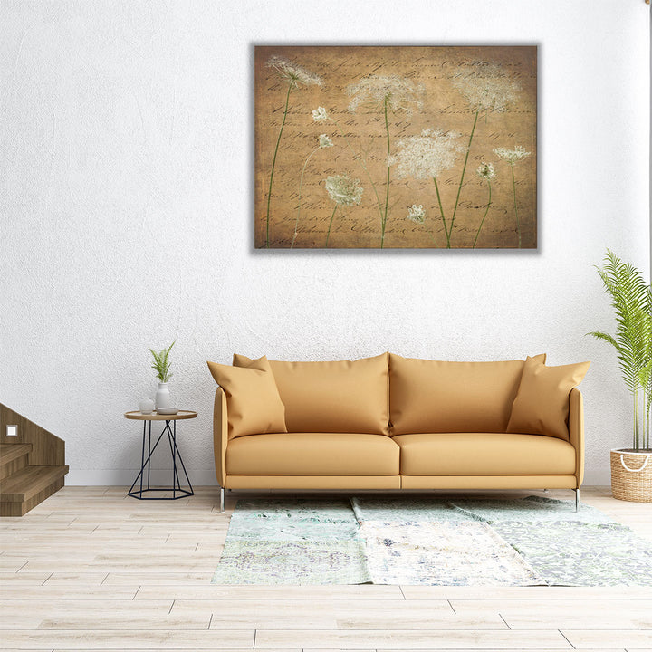 Cow Parsley Flowers 4 - Canvas Print Wall Art