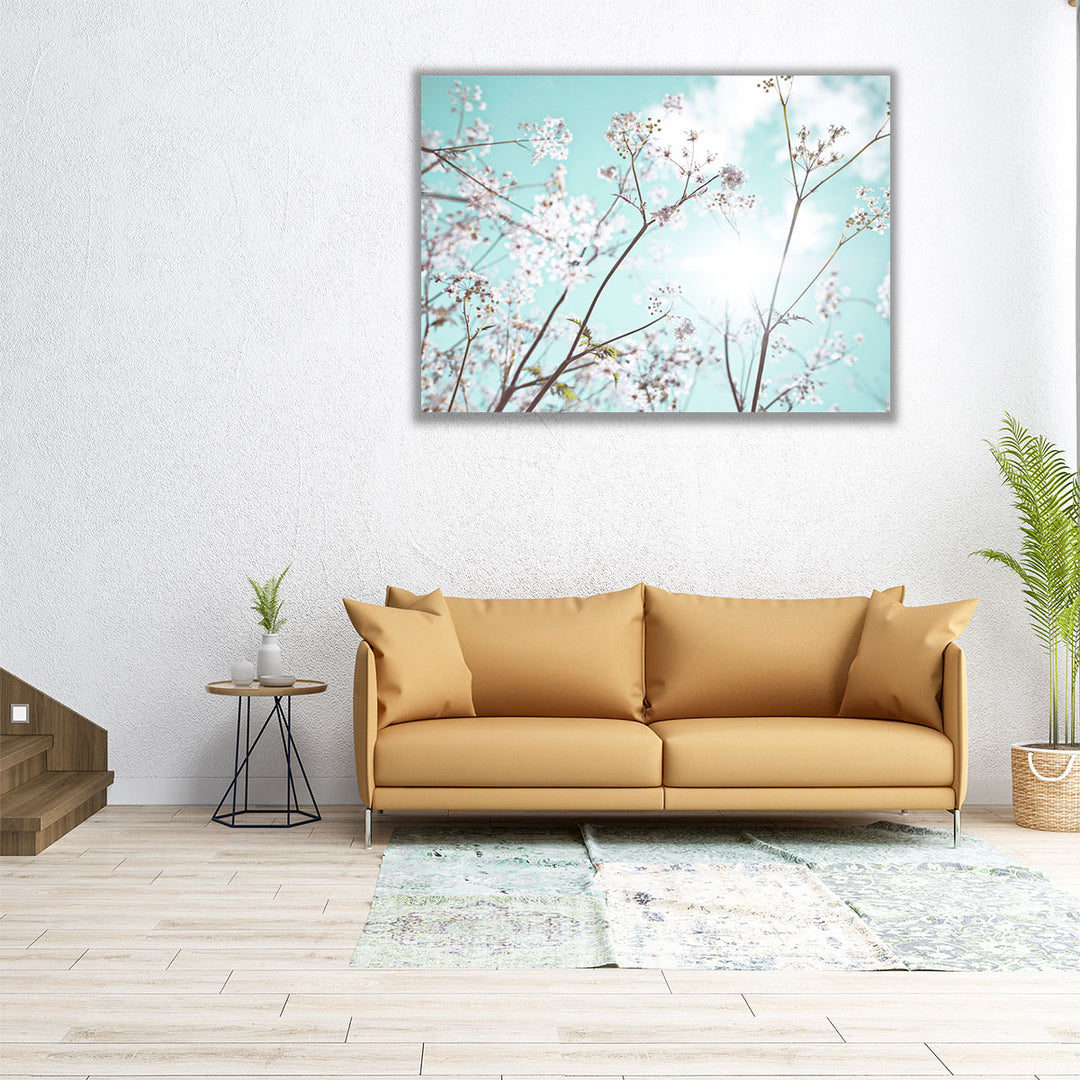 Cow Parsley Flowers In Summer Time - Canvas Print Wall Art
