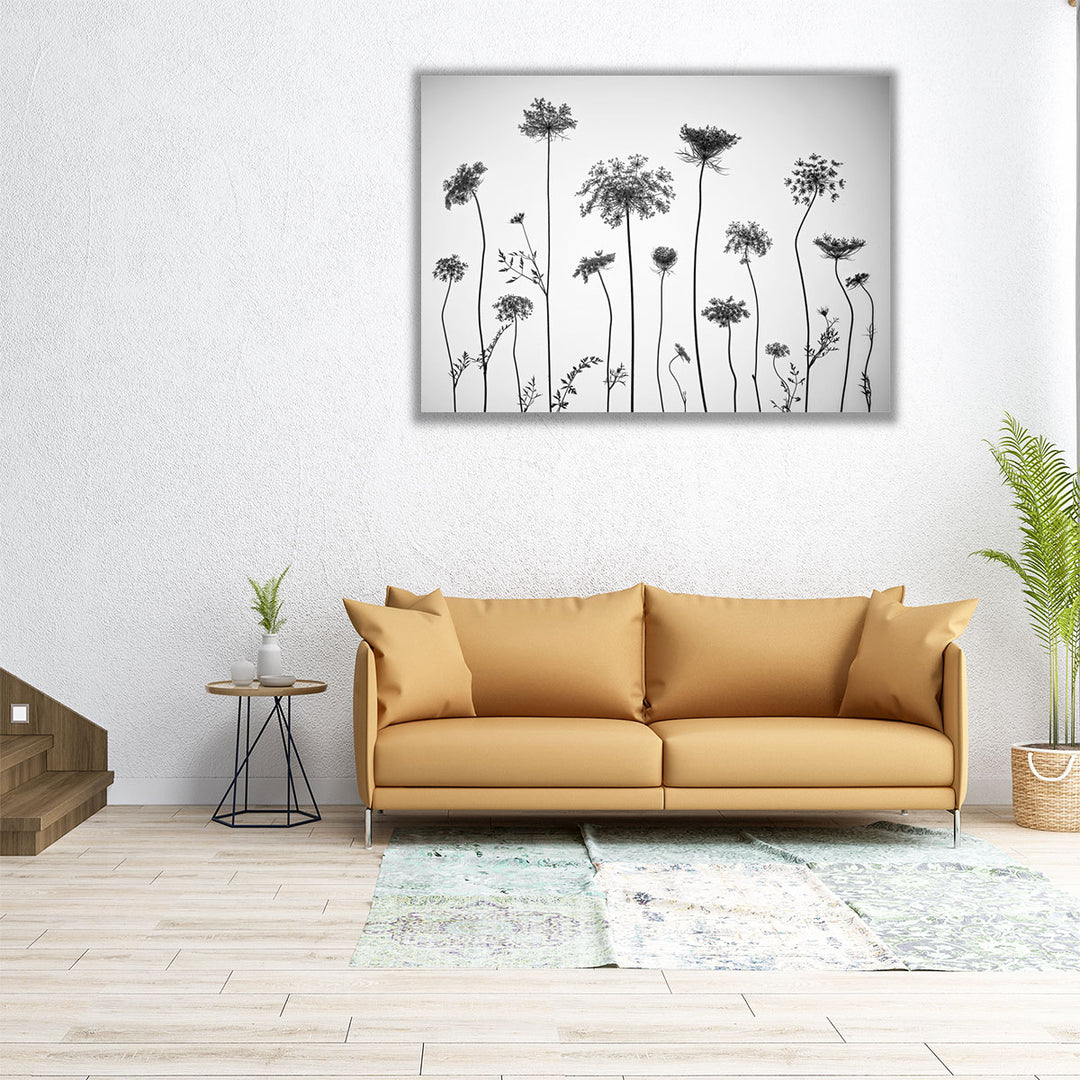 Cow Parsley - Canvas Print Wall Art