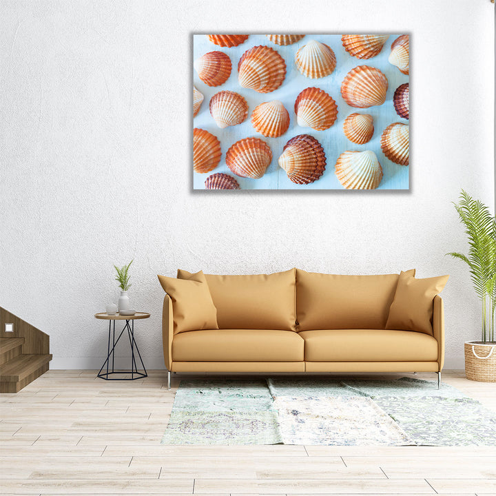 Mass Of Sea Shells - Canvas Print Wall Art