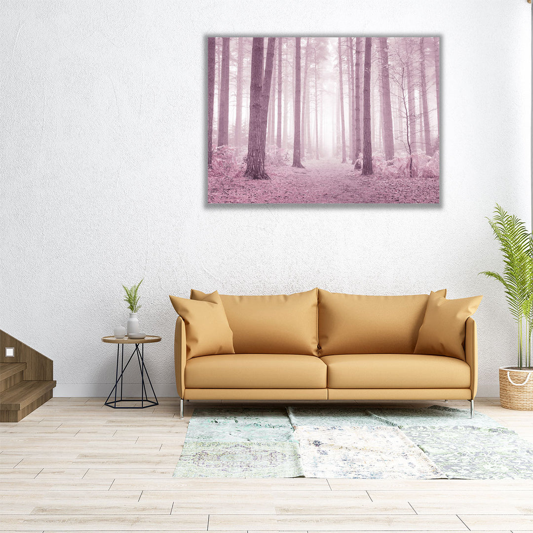 Pink-tinted forest scene with gentle mist