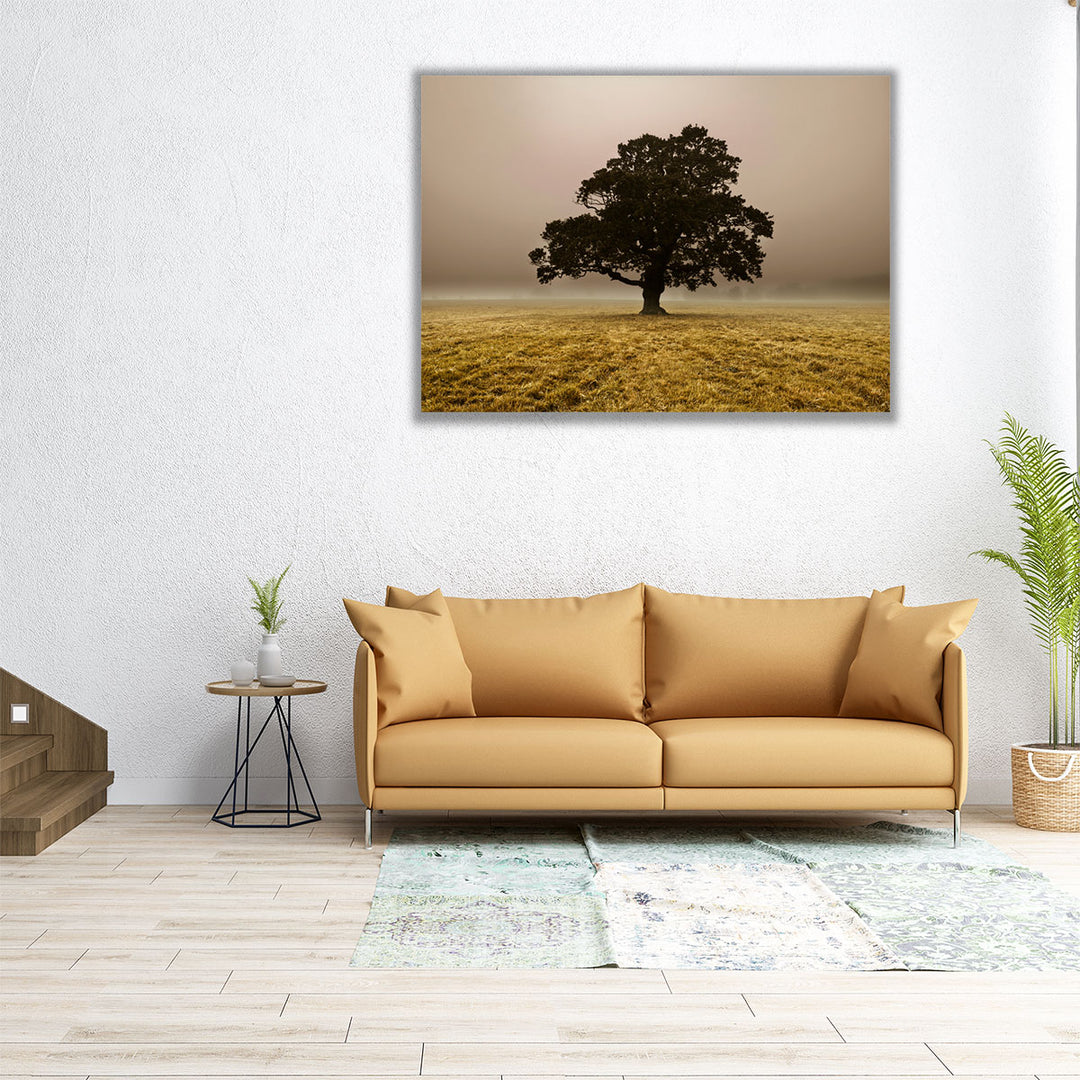Single Tree In Mist And Fog - Canvas Print Wall Art