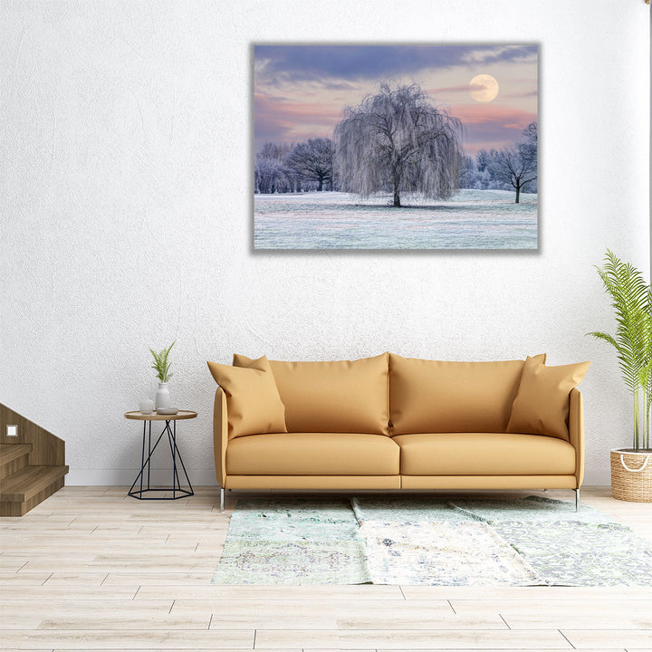 60x45 canvas featuring frosted trees and open field