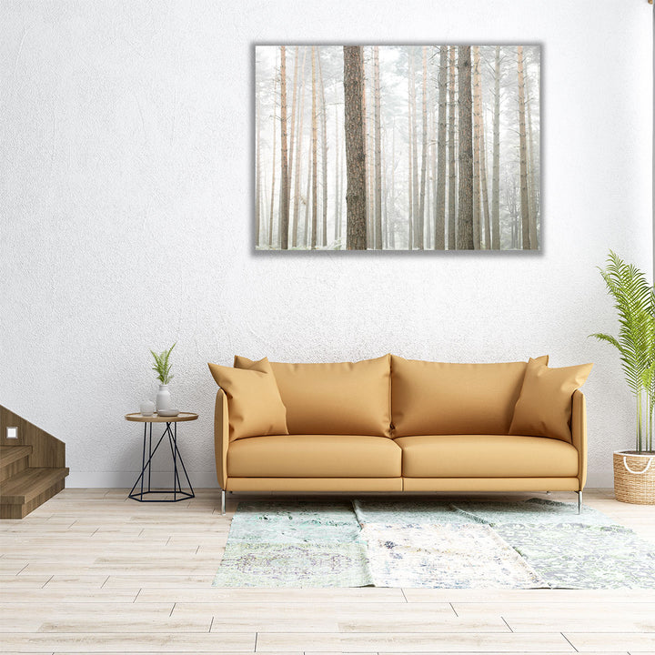 Tree Trunks In Forest - Canvas Print Wall Art