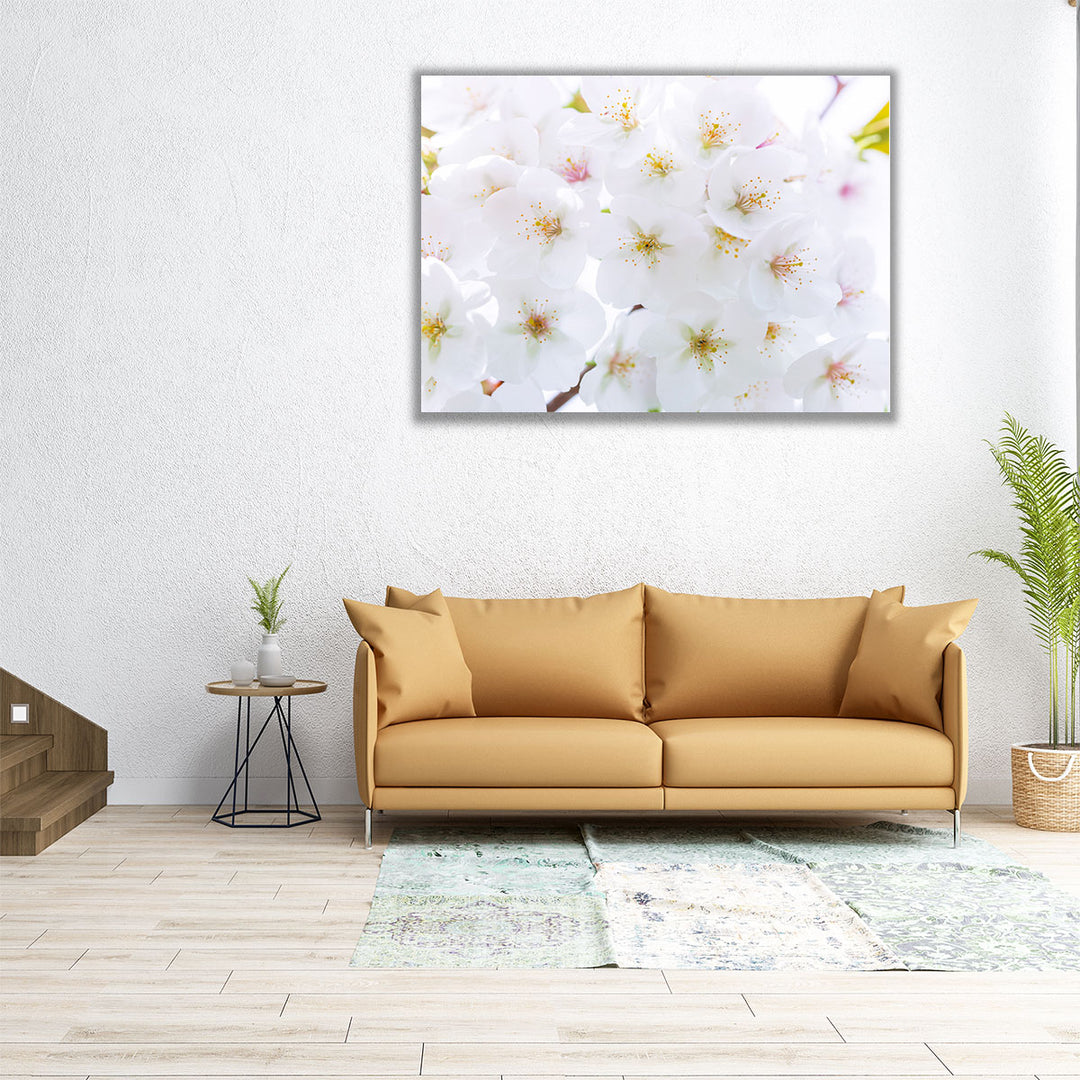 Blossom - Canvas Print Wall Art
