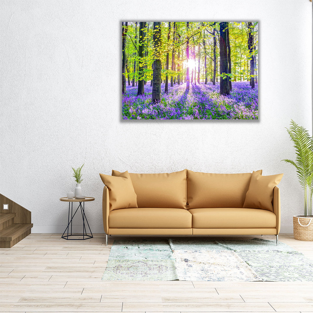 Bluebells Forest - Canvas Print Wall Art