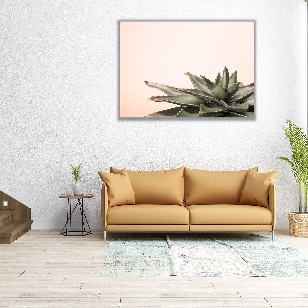Cactus - Canvas Print Wall Art