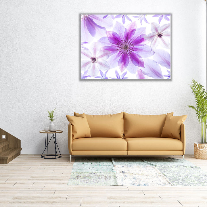 Clematis Flowers II - Canvas Print Wall Art