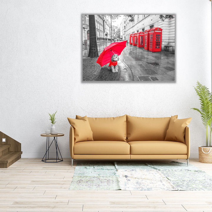 Dog with Umbrella in London - Canvas Print Wall Art
