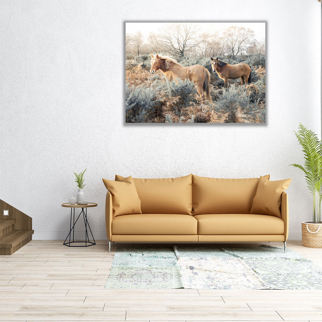 Horses in the Wild - Canvas Print Wall Art