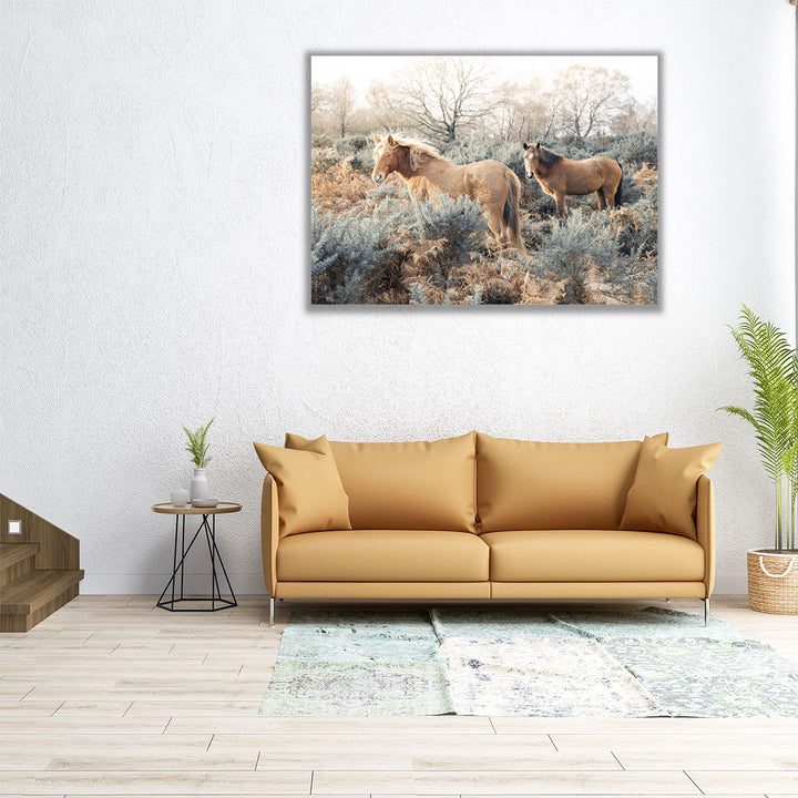 Horses in the Wild - Canvas Print Wall Art