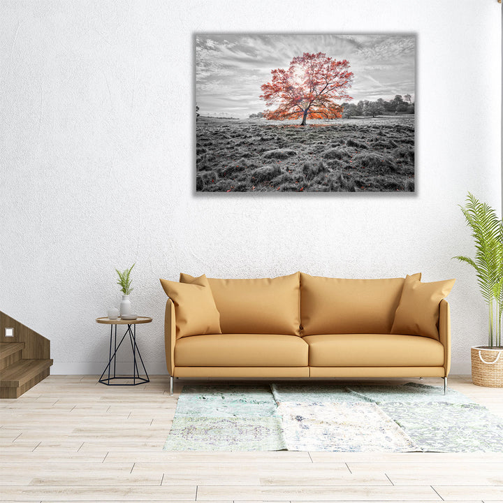 60x45 fall landscape print with tree