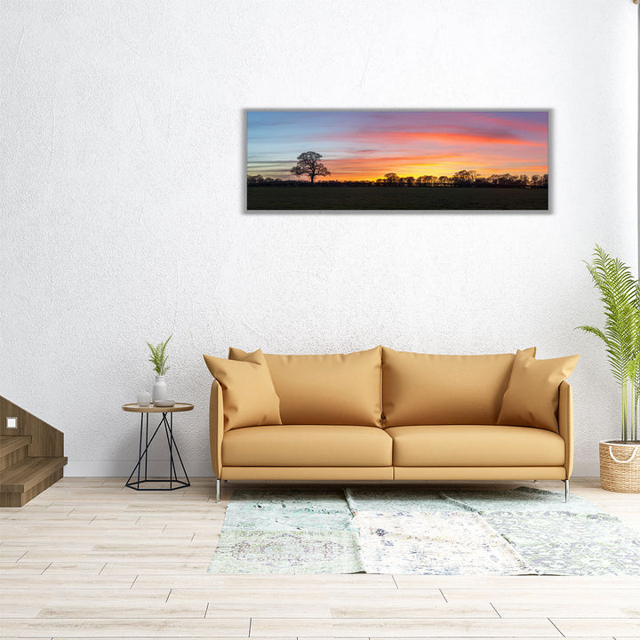 60x20 canvas featuring tree and open field