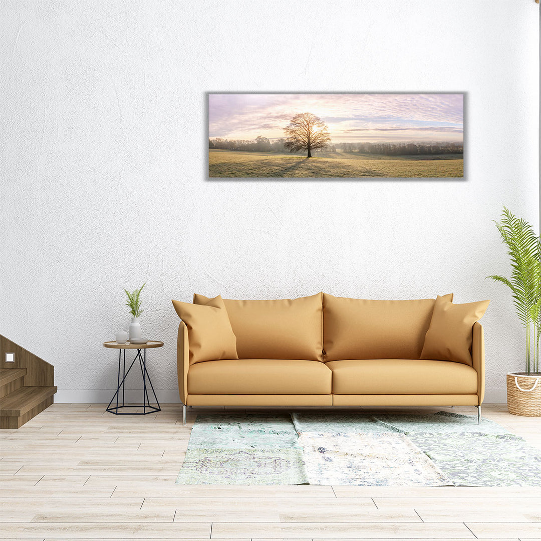 60x20 canvas of single tree in open field