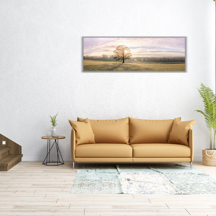 60x20 canvas of single tree in open field