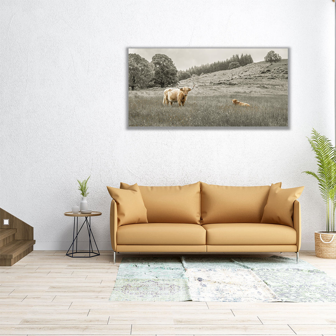 60x30 canvas featuring Highland cow on hillside