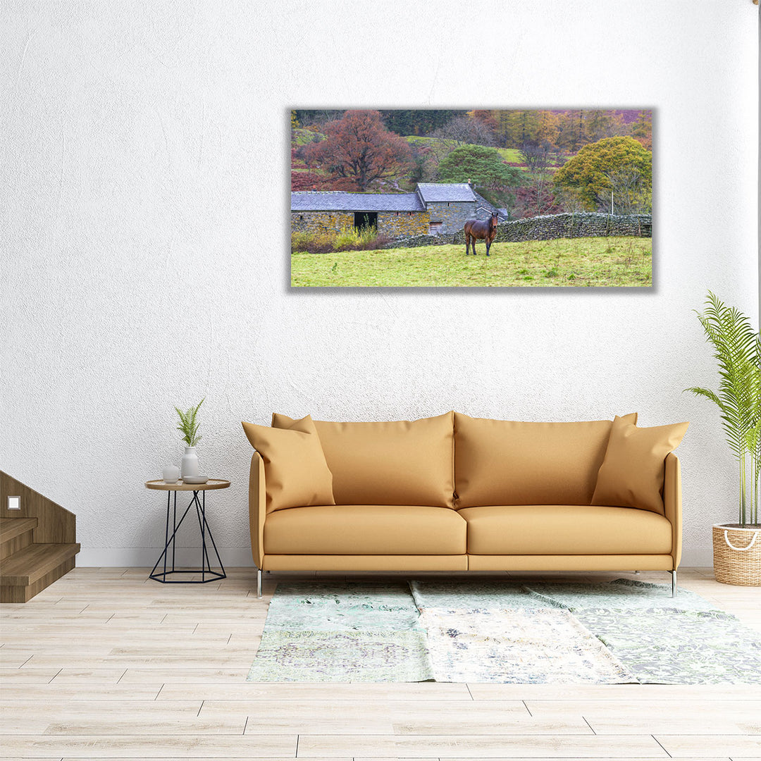 60x30 canvas with horse and green landscape