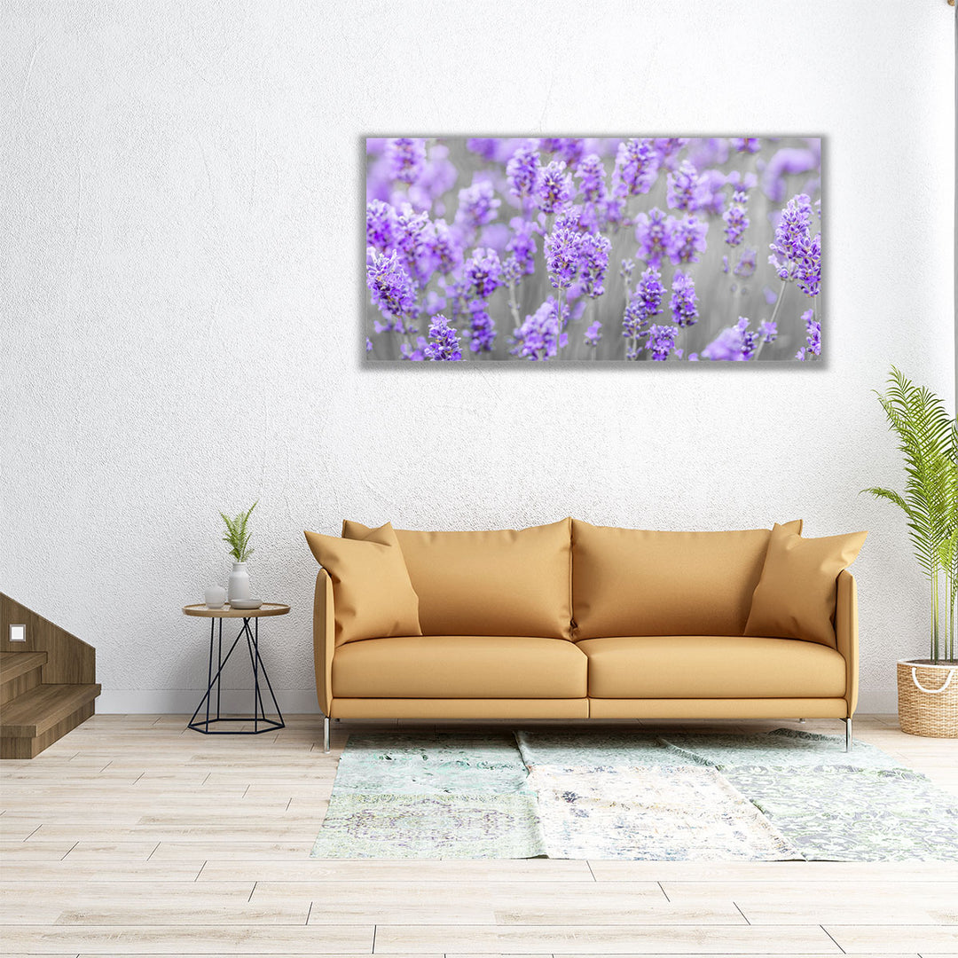 Lavender Farm - Canvas Print Wall Art