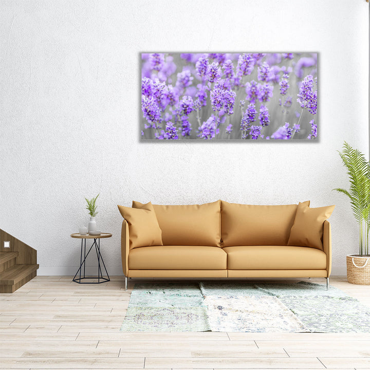 Lavender Farm - Canvas Print Wall Art