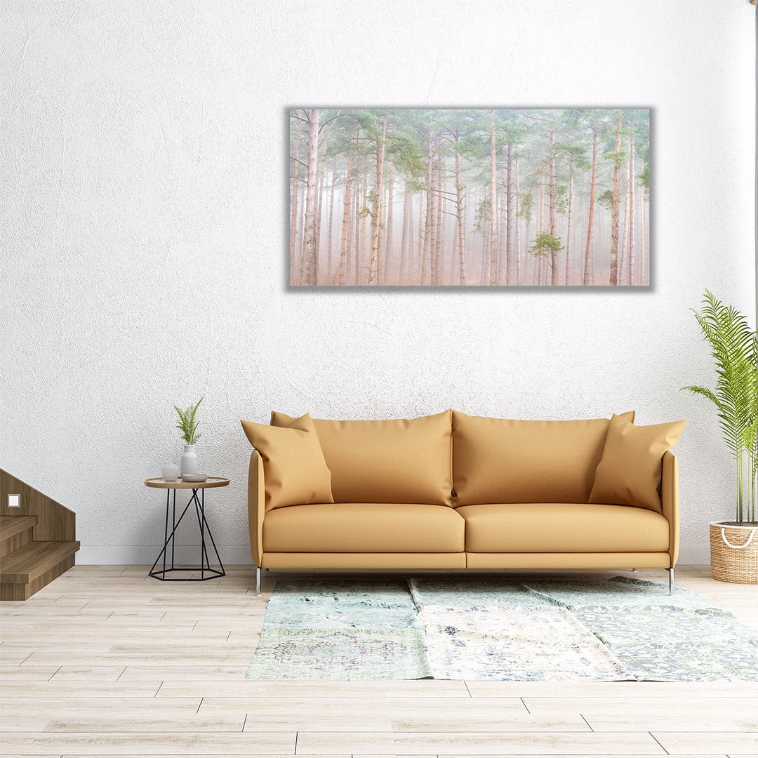 Misty Forest - Canvas Print Wall Art