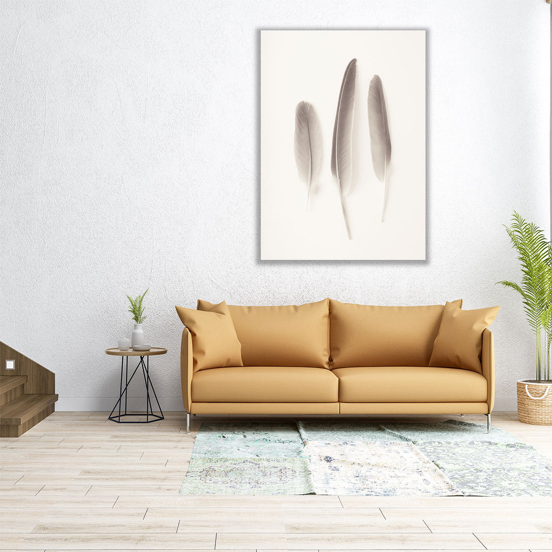 Feather Black And White - Canvas Print Wall Art