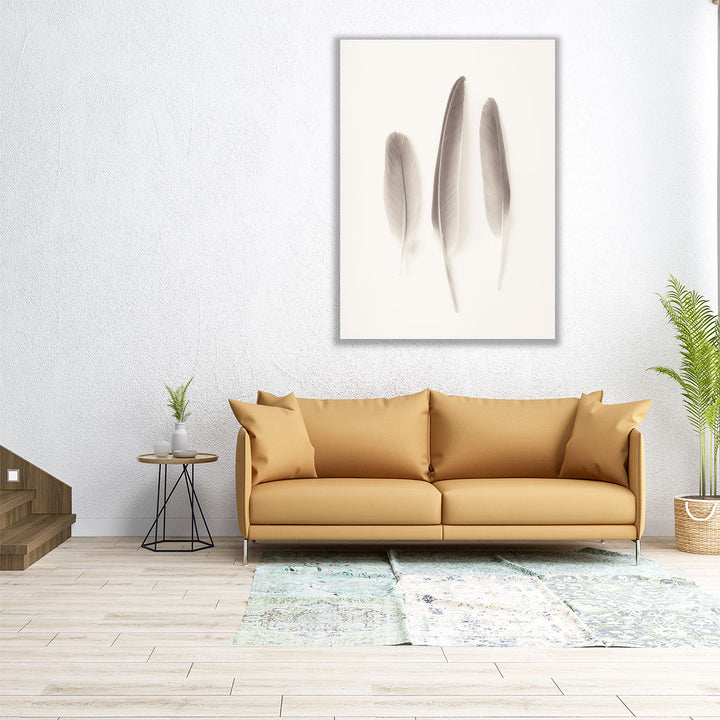 Feather Black And White - Canvas Print Wall Art