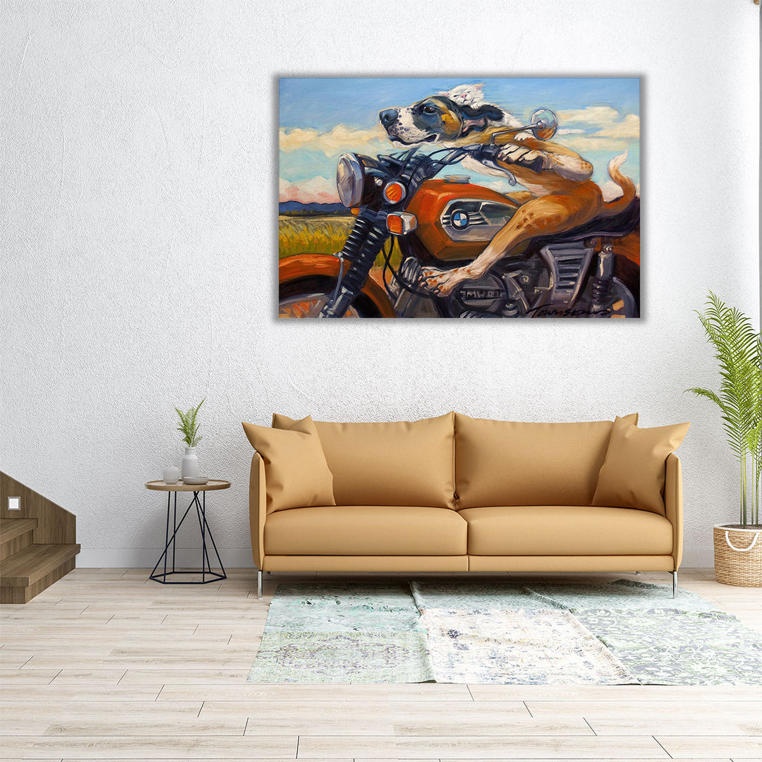 Fast And Furriest - Canvas Print Wall Art