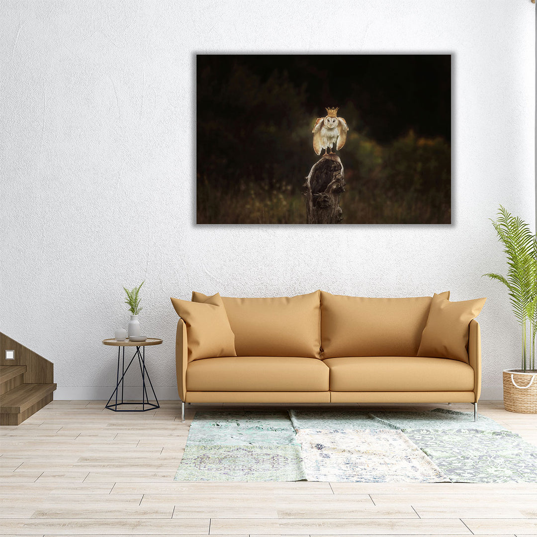 The Owl King - Canvas Print Wall Art