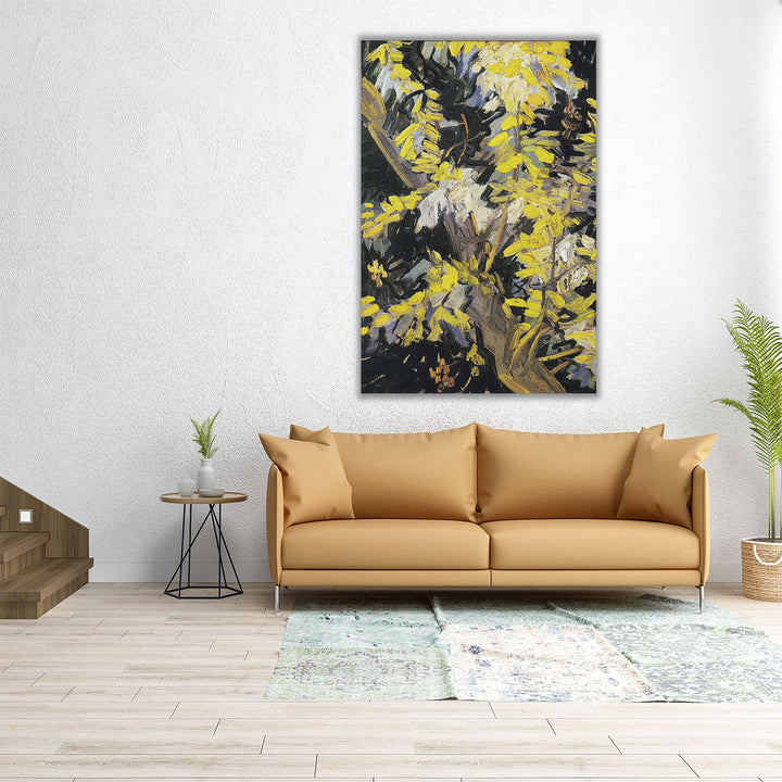 Blossoming Acacia Branches, 1890 - Canvas Print Wall Art