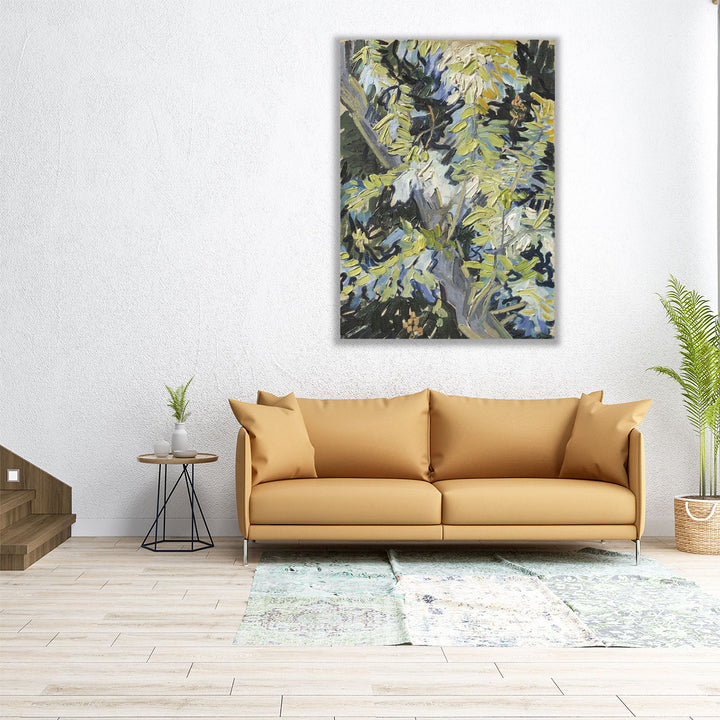 Acacia in Flowers - Canvas Print Wall Art