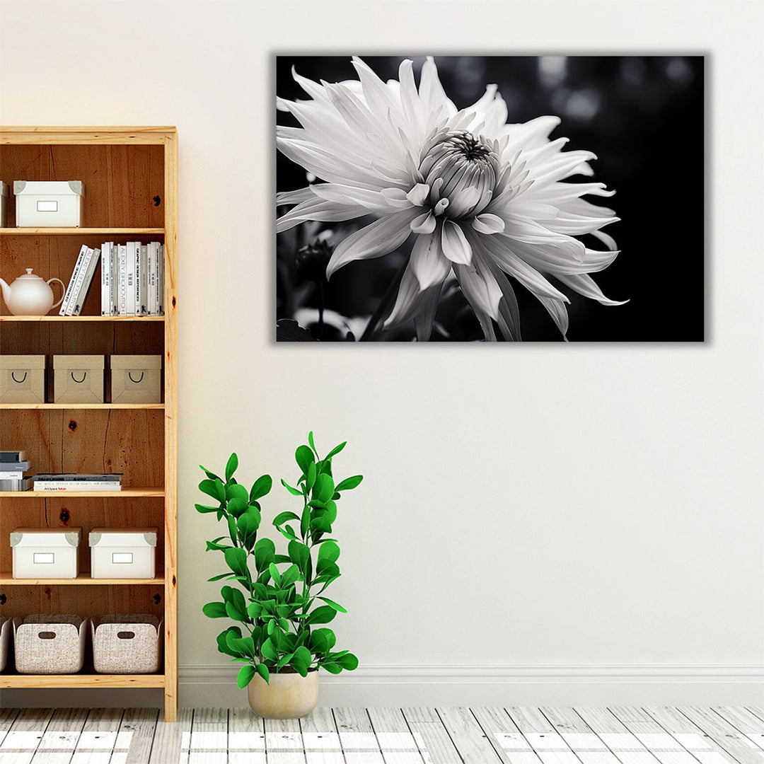 Living room framed art with elegant floral print
