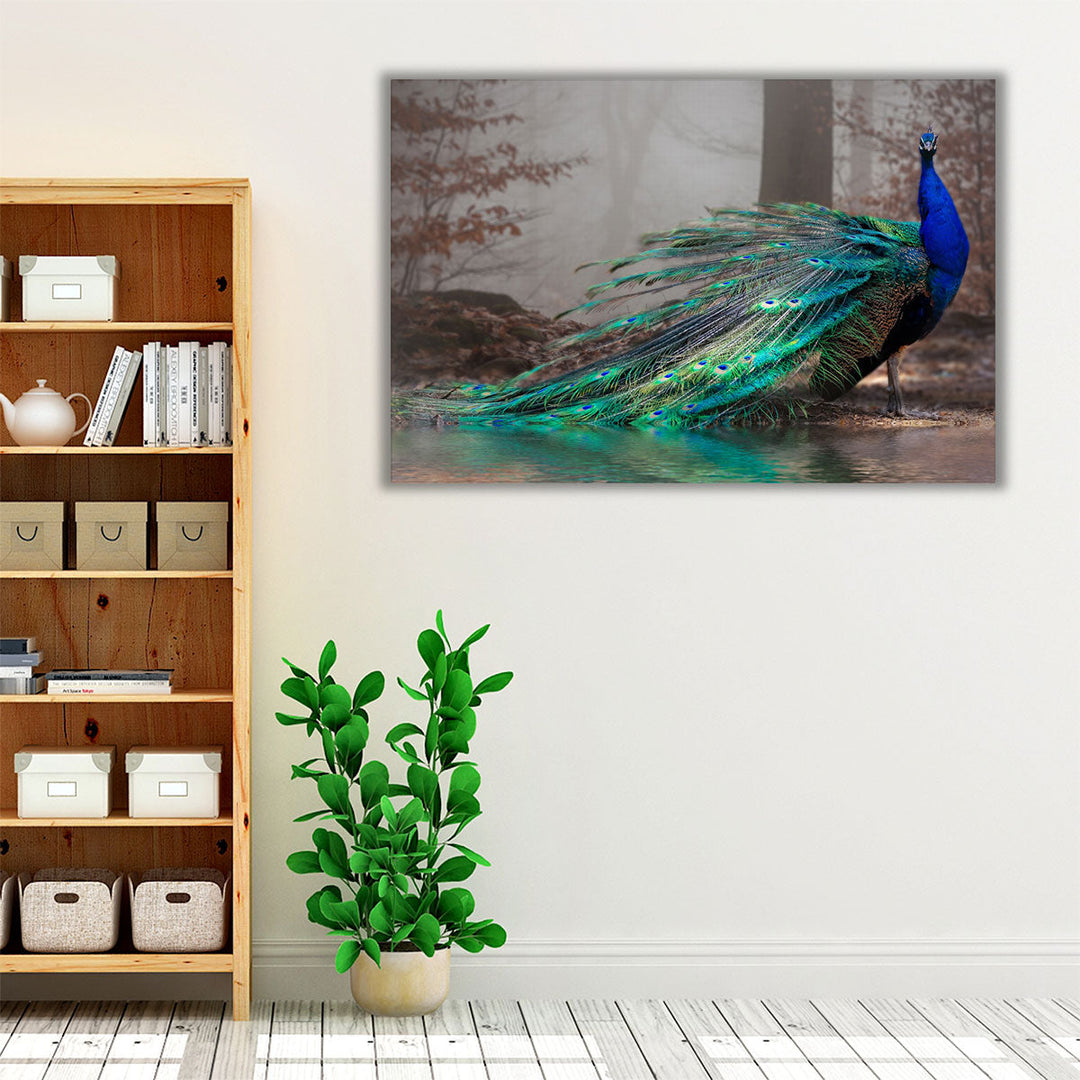 A Beautiful Peacock at a Lakeshore - Canvas Print Wall Art