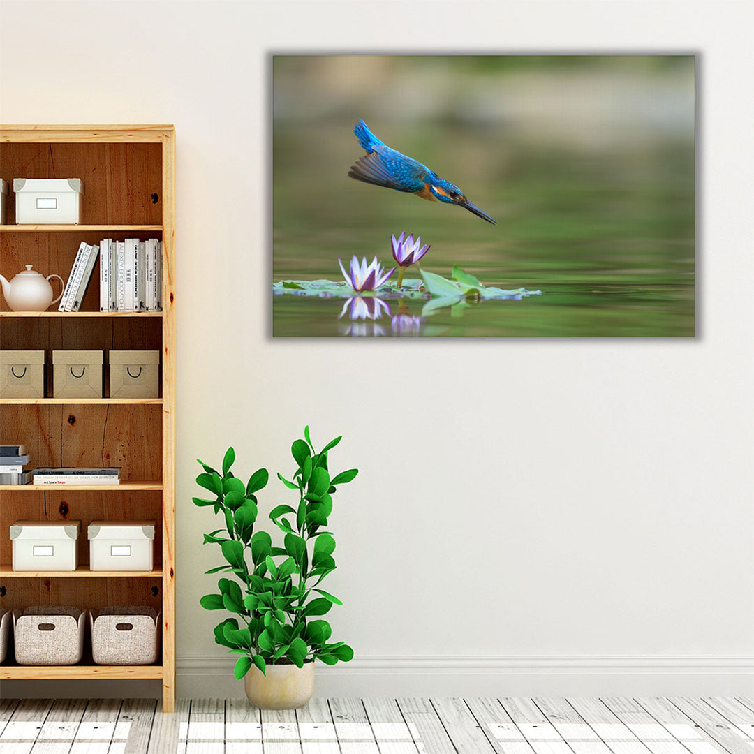 Diving Kingfisher - Canvas Print Wall Art