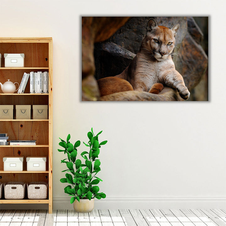 Wild Cat Cougar, Puma in the Forest - Canvas Print Wall Art