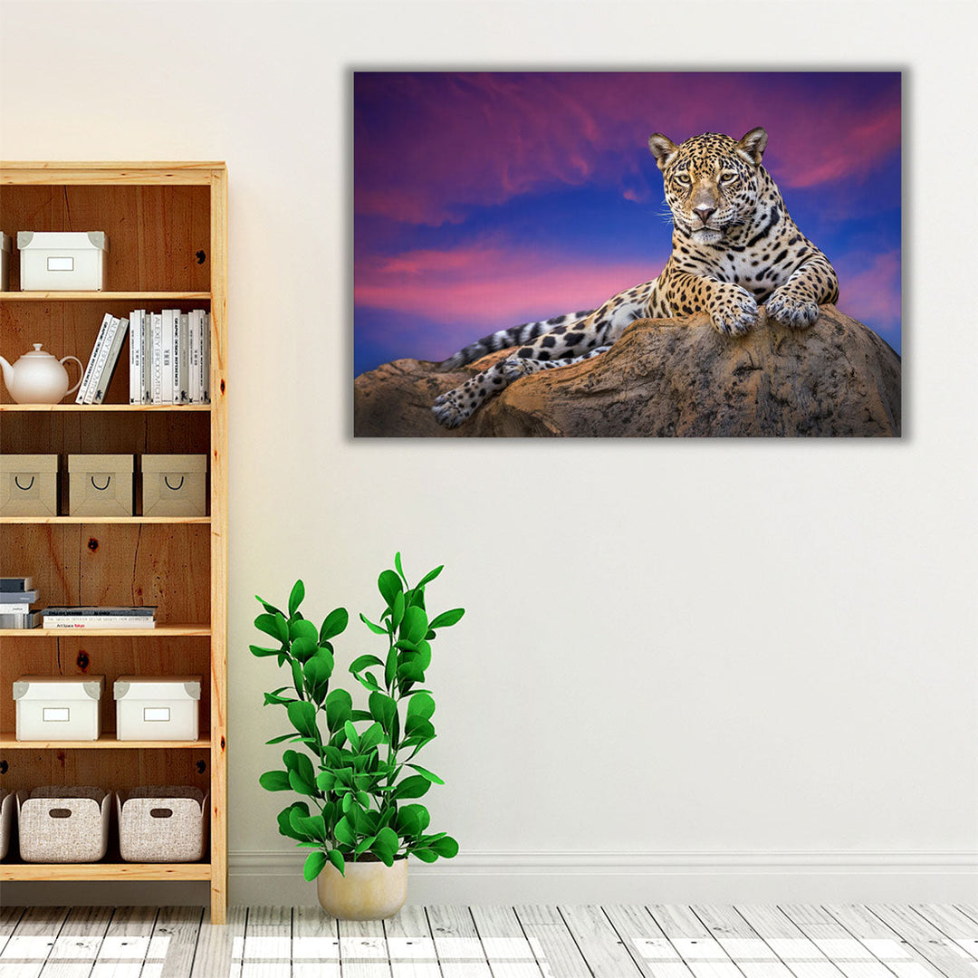 Jaguar On The Rocks - Canvas Print Wall Art