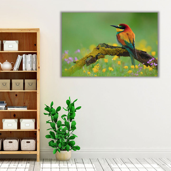 Bee-Eater Sitting on a Branch - Canvas Print Wall Art