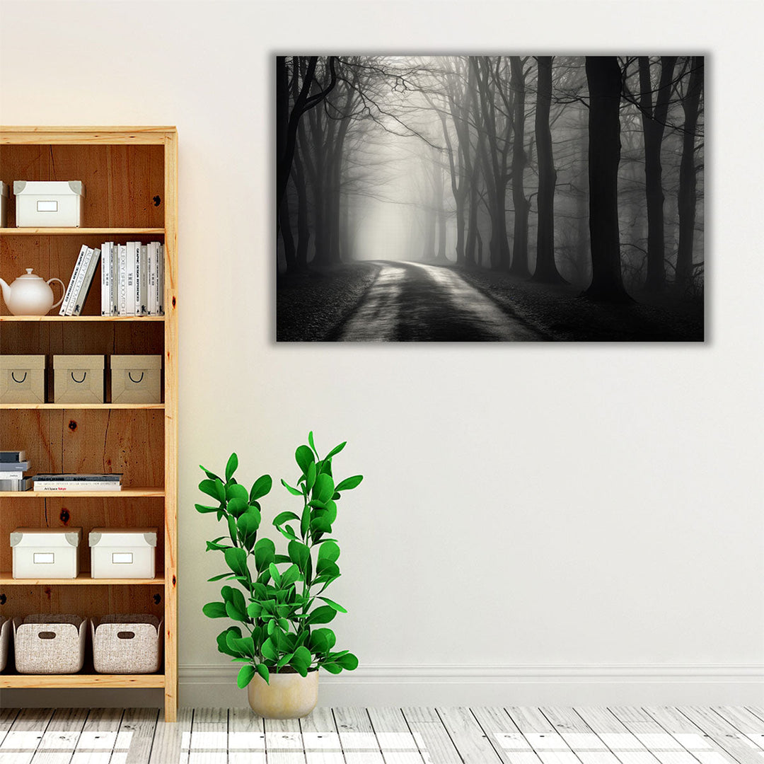 Misty Dark Forest Path - Canvas Print Wall Art