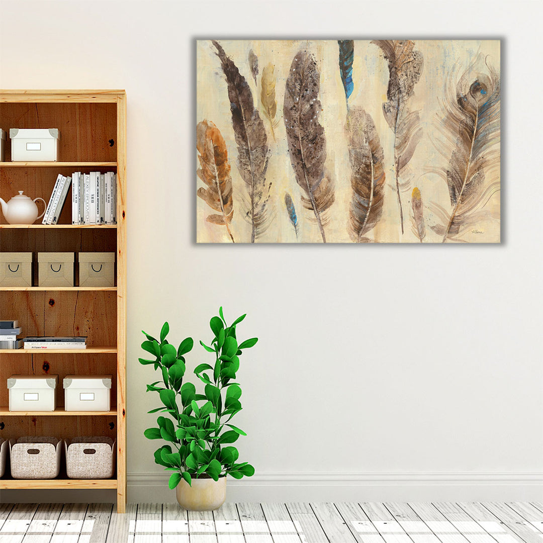 Feather Study - Canvas Print Wall Art