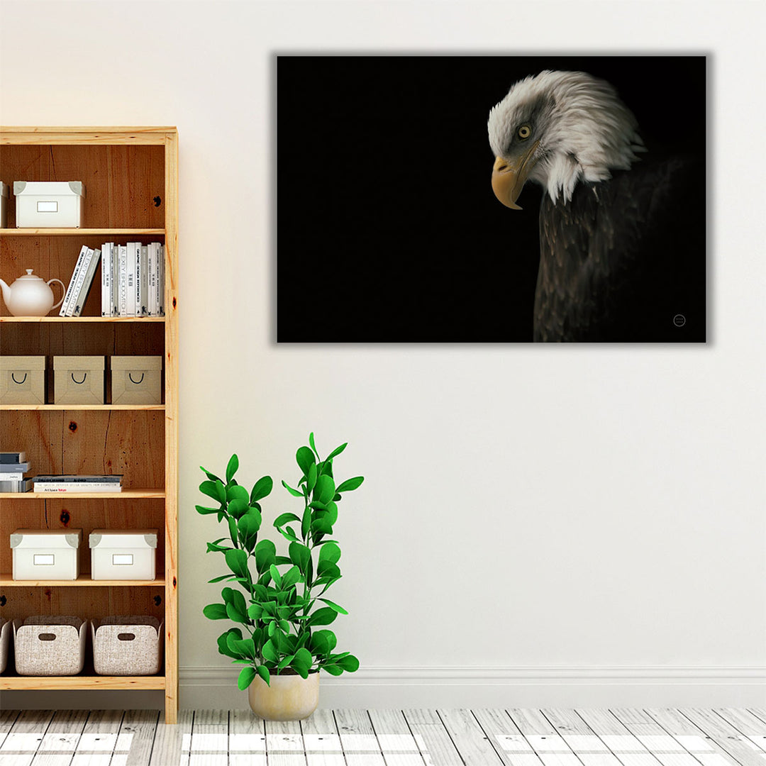 Living room framed art with black and white animal imagery