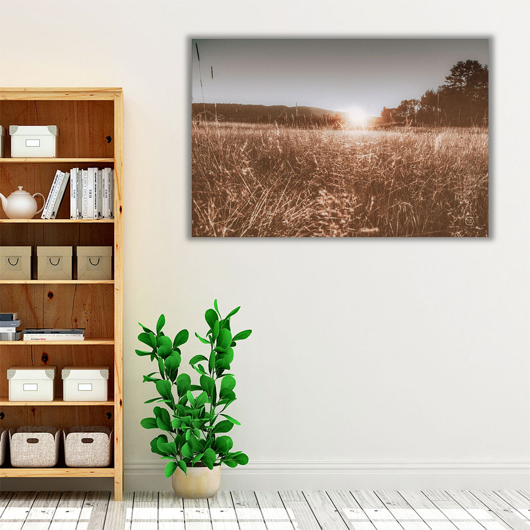 Brown and gold rural landscape scene