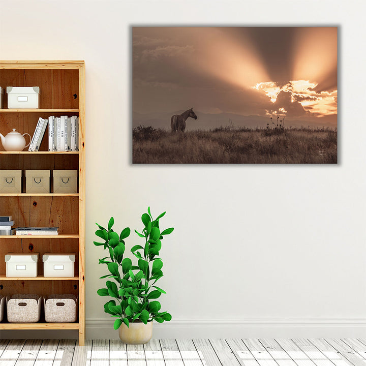 Brown and neutral sunset horse photograph